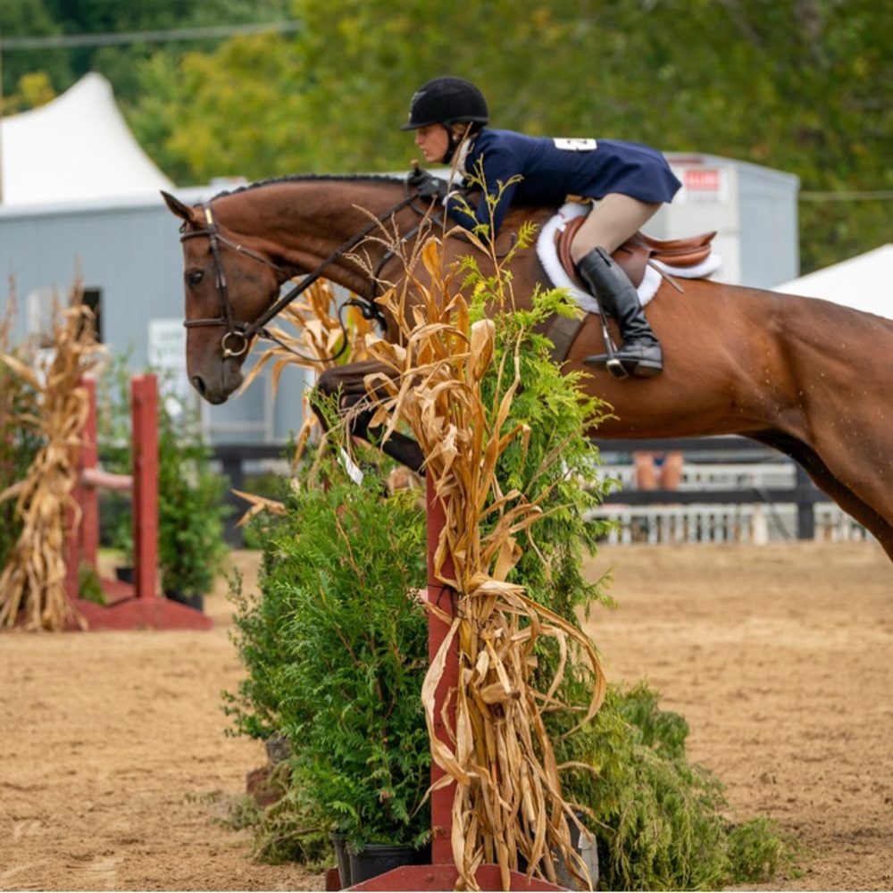 Meet your Posher, Gittings